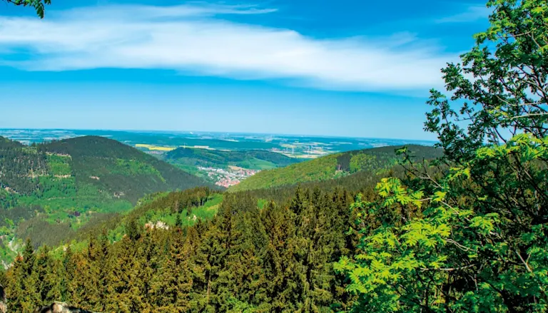 Das Niedersachsen-Los