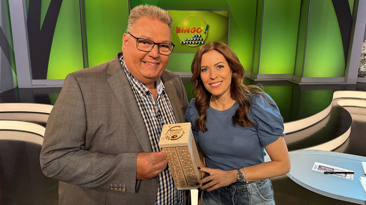 Wildbienenhotel-Aktion von BINGO!