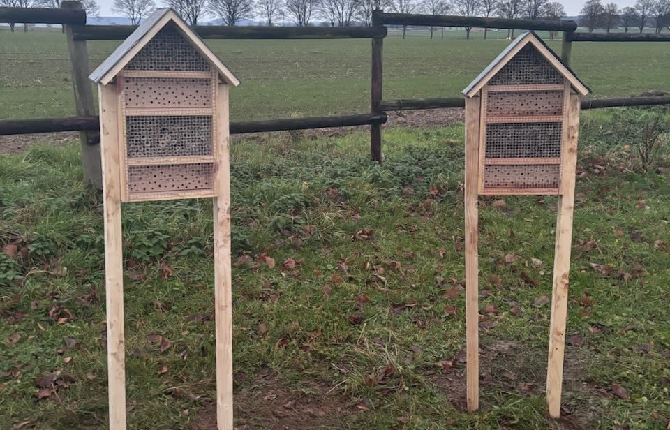 Die Insektenhotels auf dem Gelände