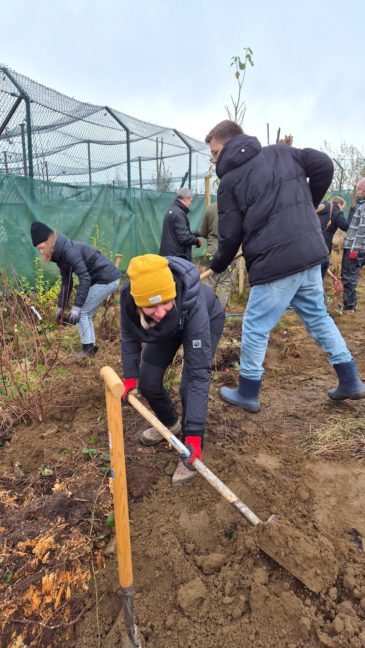Bild Pflanzaktion Wildkatzen