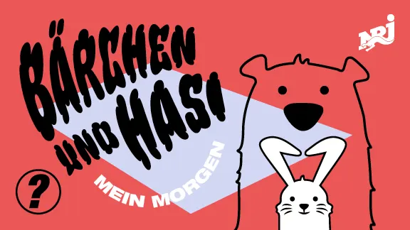 Bärchen & Hasi Bern