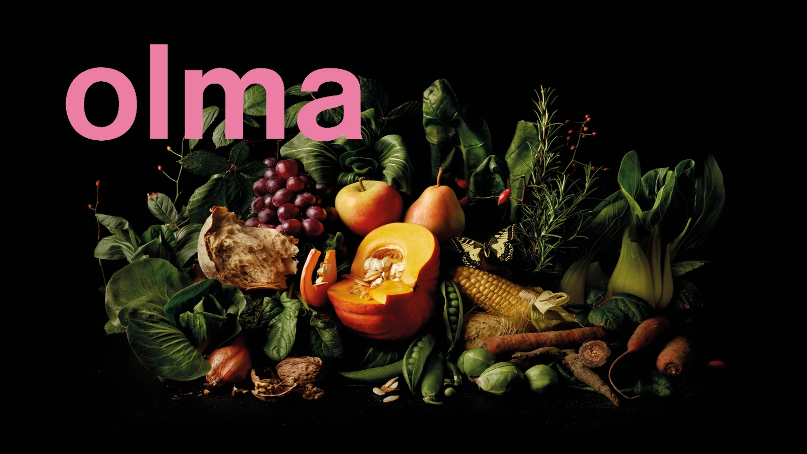 Mit Energy an die OLMA 2025