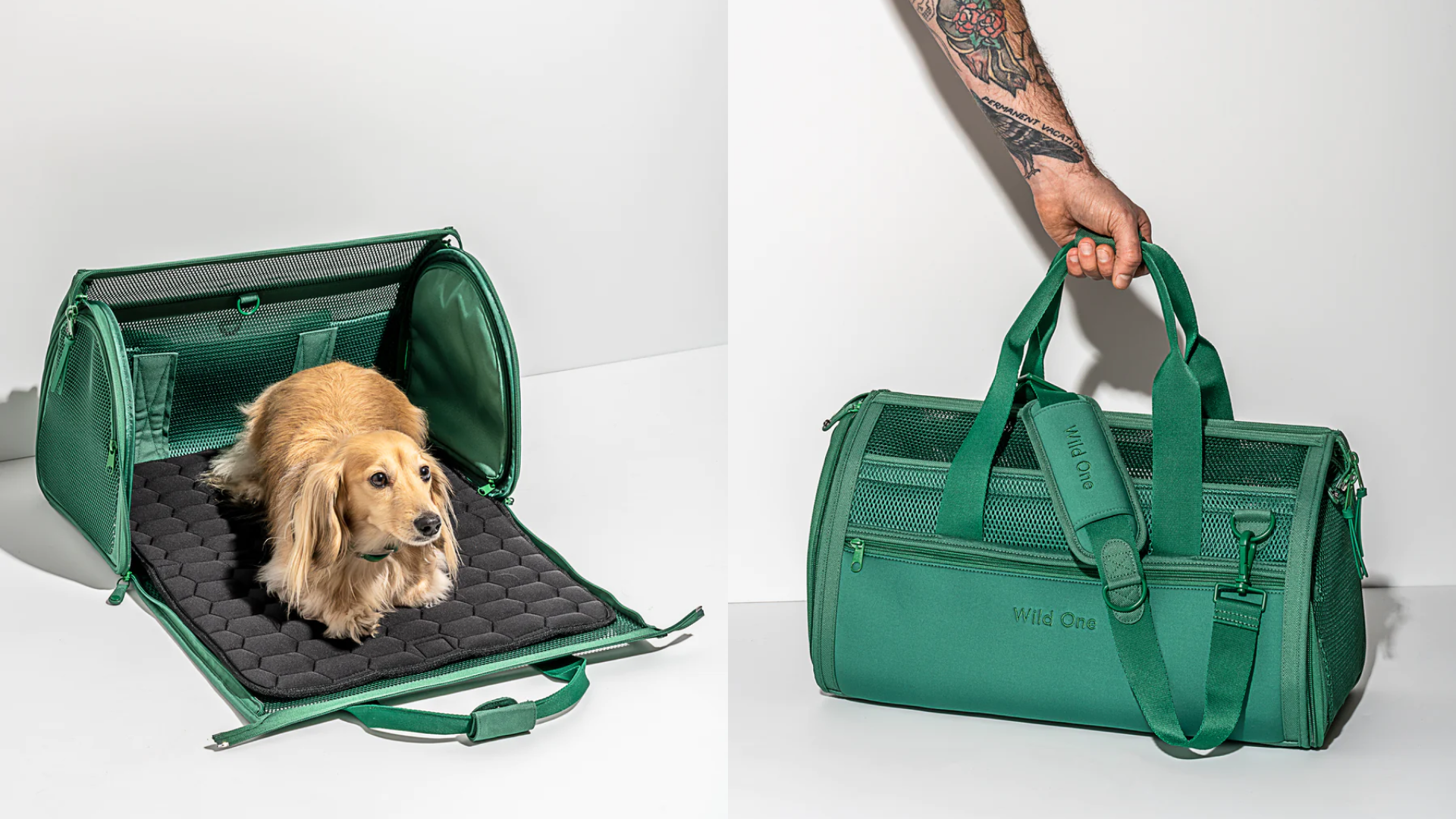 The Best AirlineApproved Cat Carriers Of 2023, Tested And, 50 OFF
