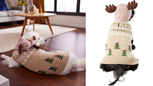 Festive holiday pet jacket with reindeer antlers