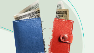 A red and blue wallet torn in half 