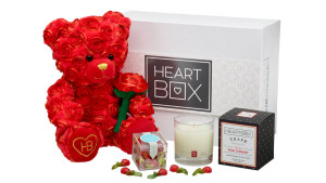 Build-A-Bear valentine's day gift box