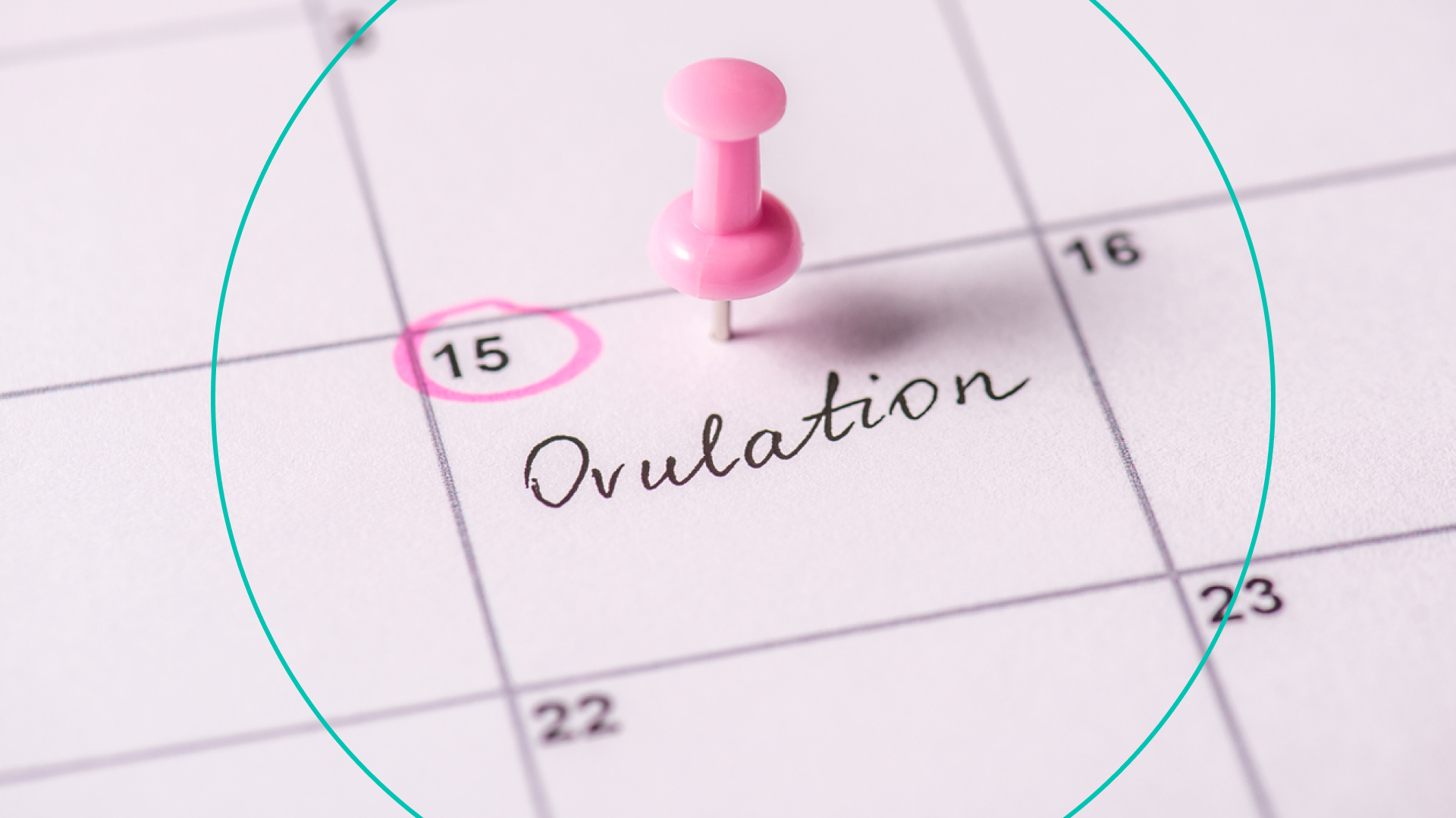 Is it okay to take Plan B on the last day of my ovulation? - Quora