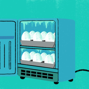 Egg Freezing: How It Works, What It Costs