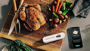 smart meat thermometer