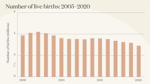 Graph of number of births 2005-2020