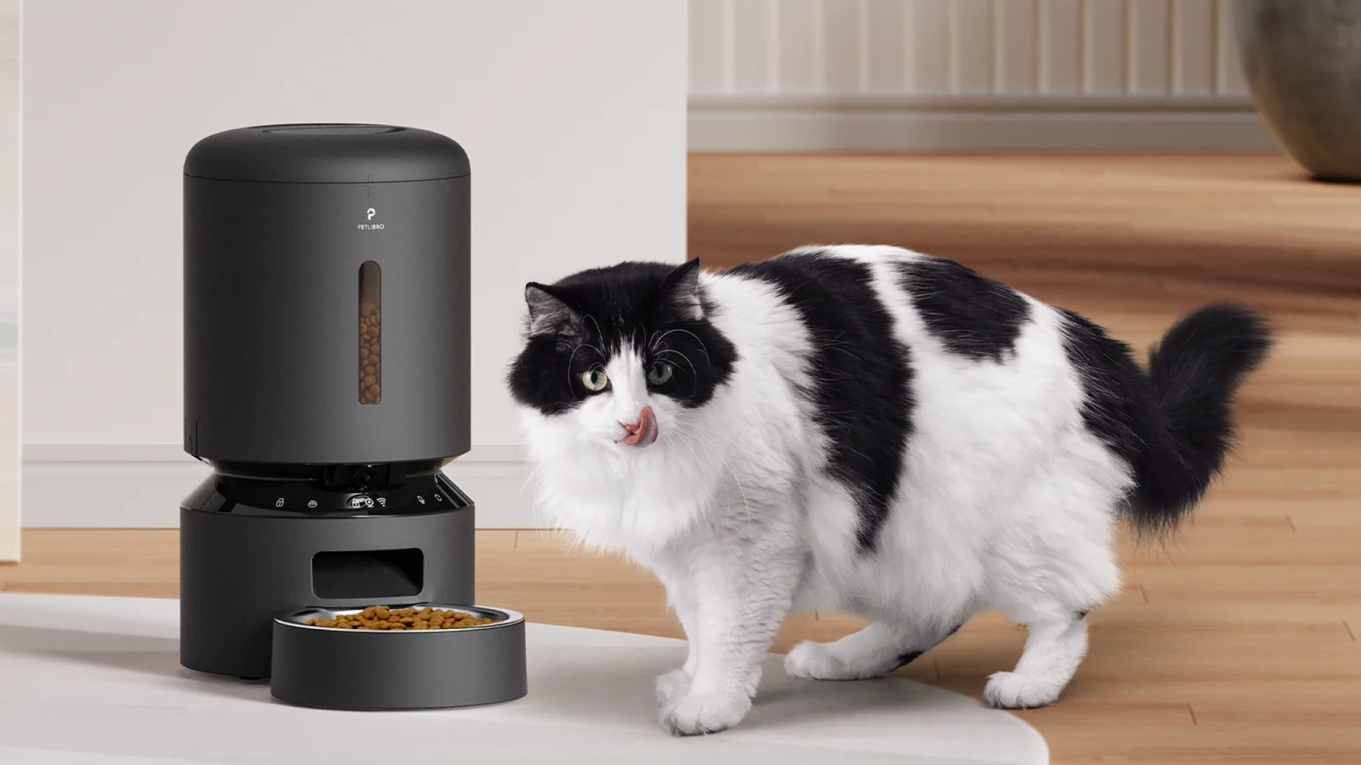 Petlibro Automatic Cat Food Dispenser is 20% off on