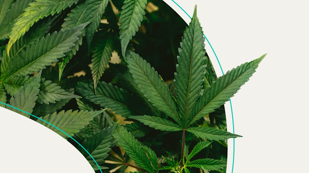 The Lawfulness Trap Why Legalizing Escalation Is a Strategic Suicide Note