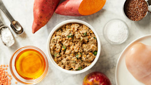 fresh dog food subscription