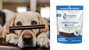 Toothpicks made from recycled blueberries