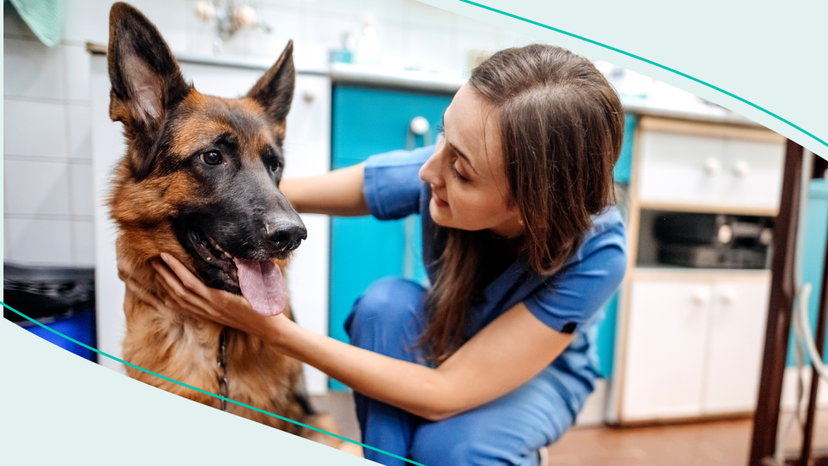 Dog Flu: Symptoms, Treatment, and How to Keep Pets Safe