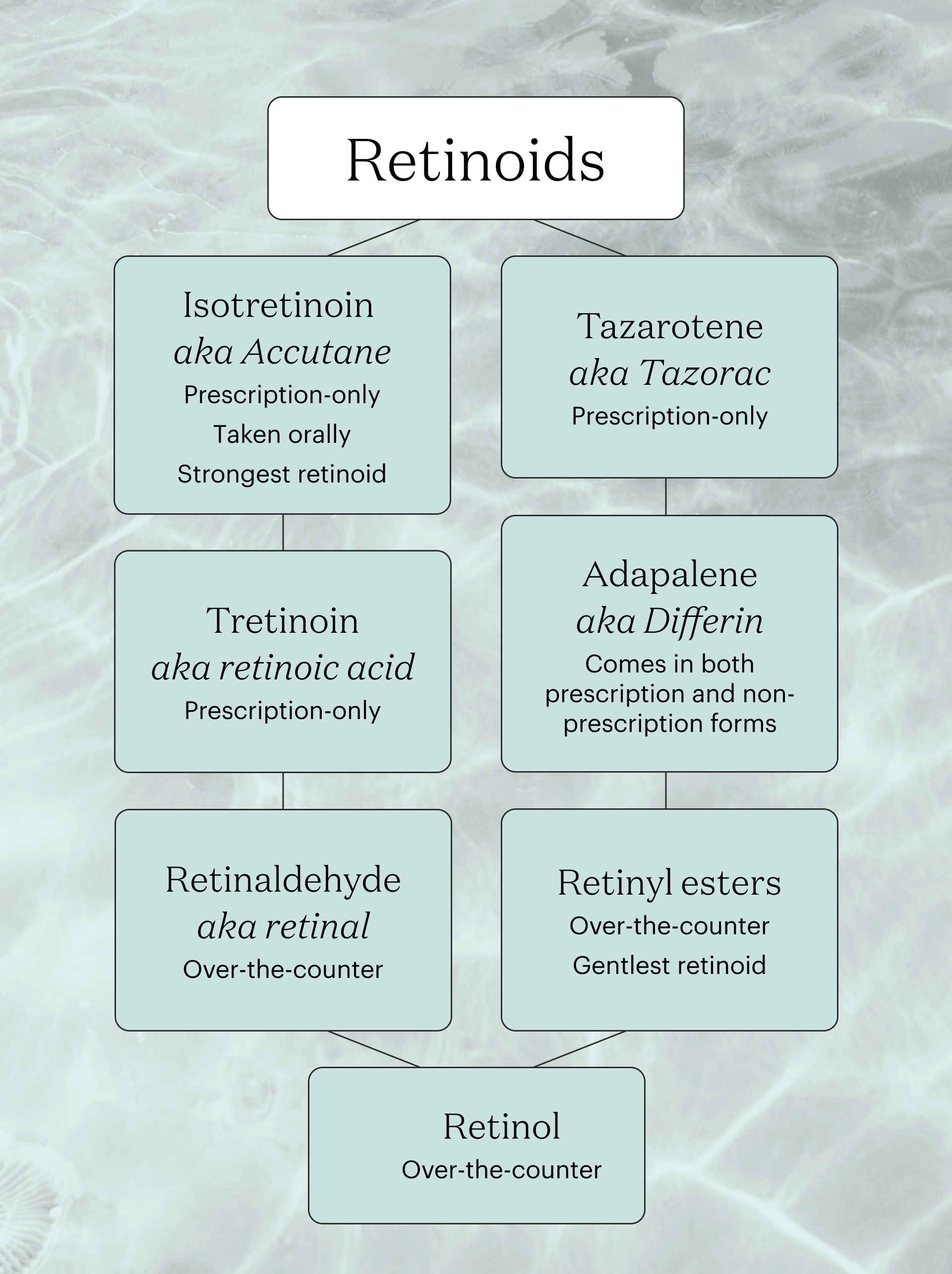 Følelse absorption venom Retinol vs Retinoid vs Tretinoin: The Difference, Explained | theSkimm