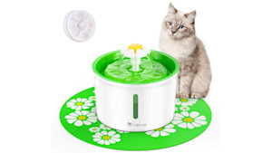 cat water fountain with filter