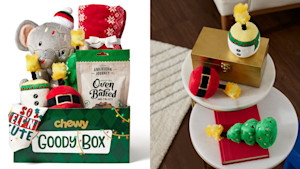 Goody Pet Box
