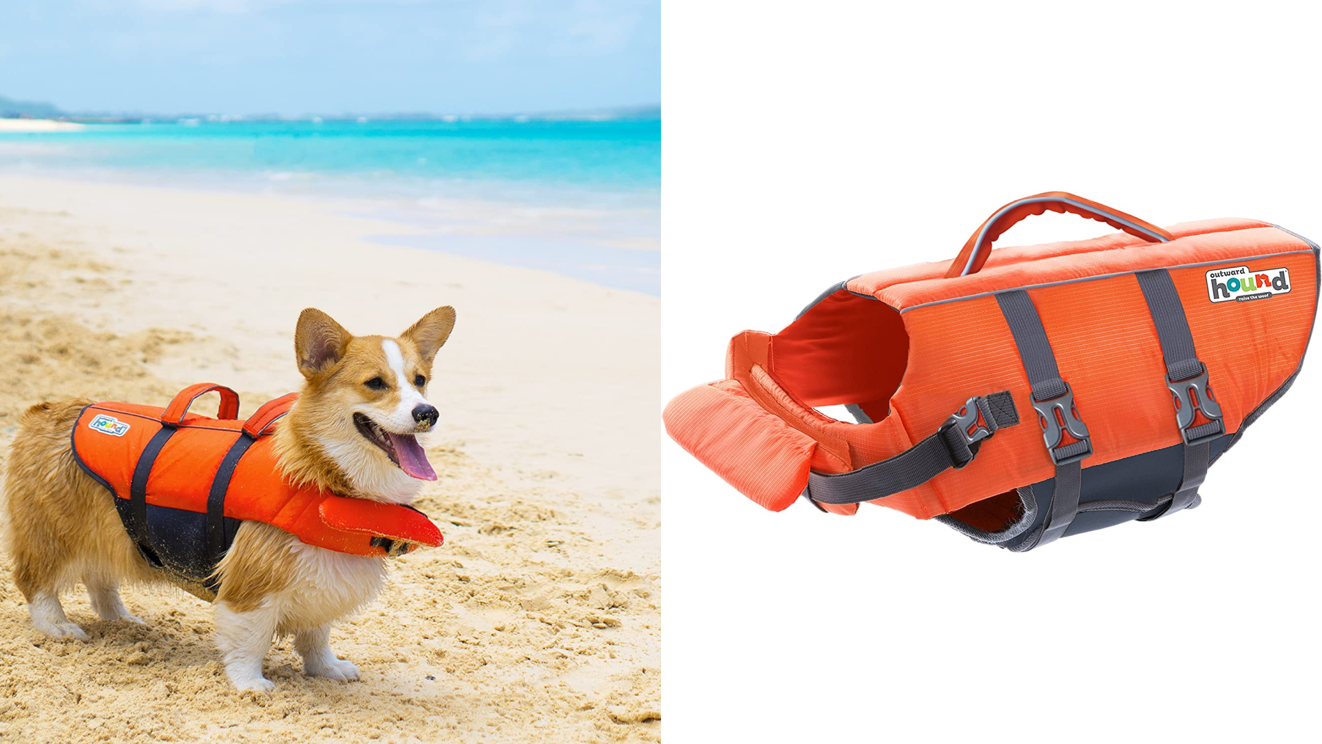 https://images.ctfassets.net/6g4gfm8wk7b6/5iCqEQIoPTiAPefjU0KWkg/d2eed6e344ee27024ff993f43f4c6fb4/DOGGY_LIFE_JACKET.png