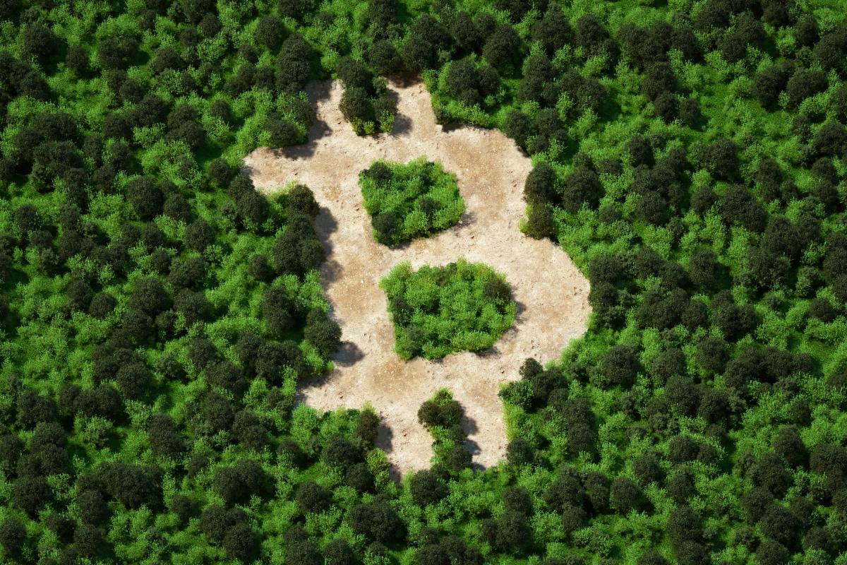 why crypto is bad for the environment