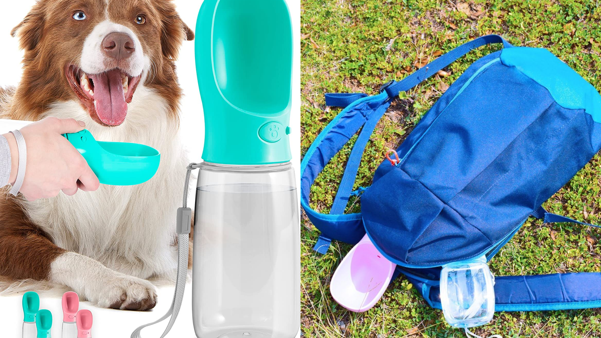 Keep Your Pet Cool in the Heat – Stuffible