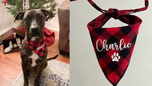 engraved name bandana for pets