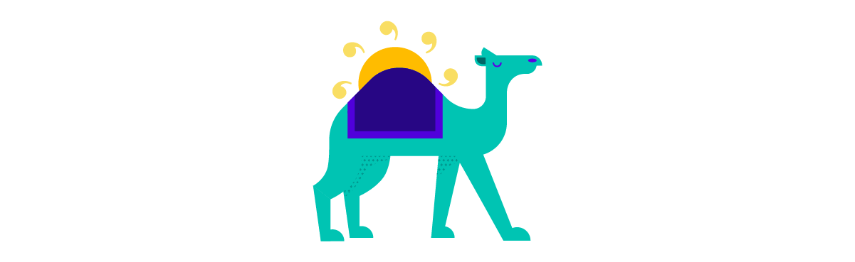 Camel with sun behind the hump