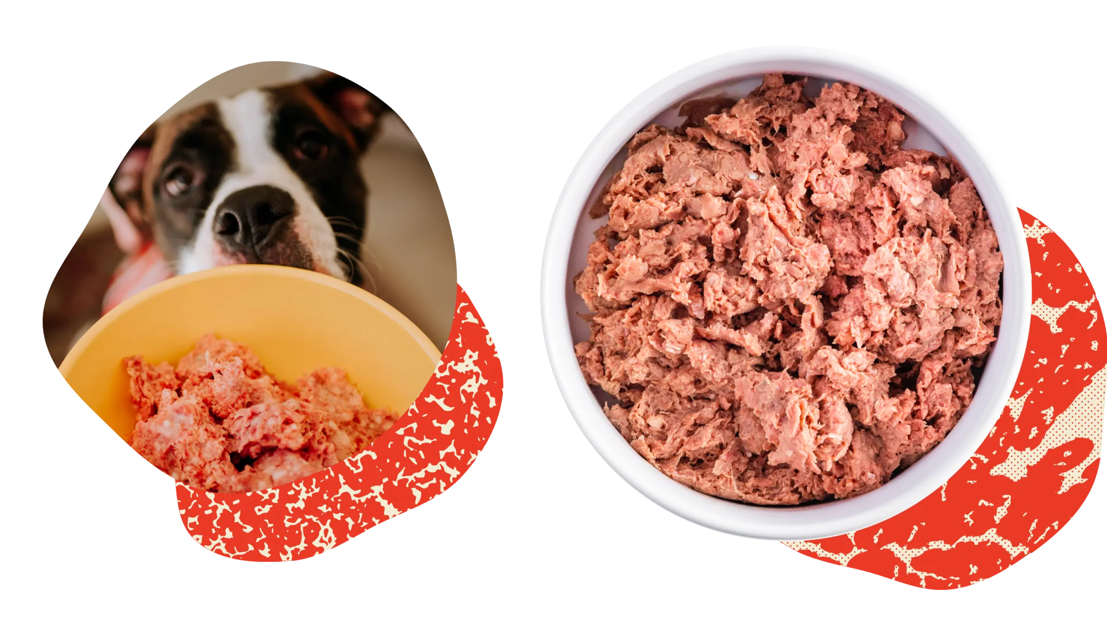 what kind of meat is in dog food