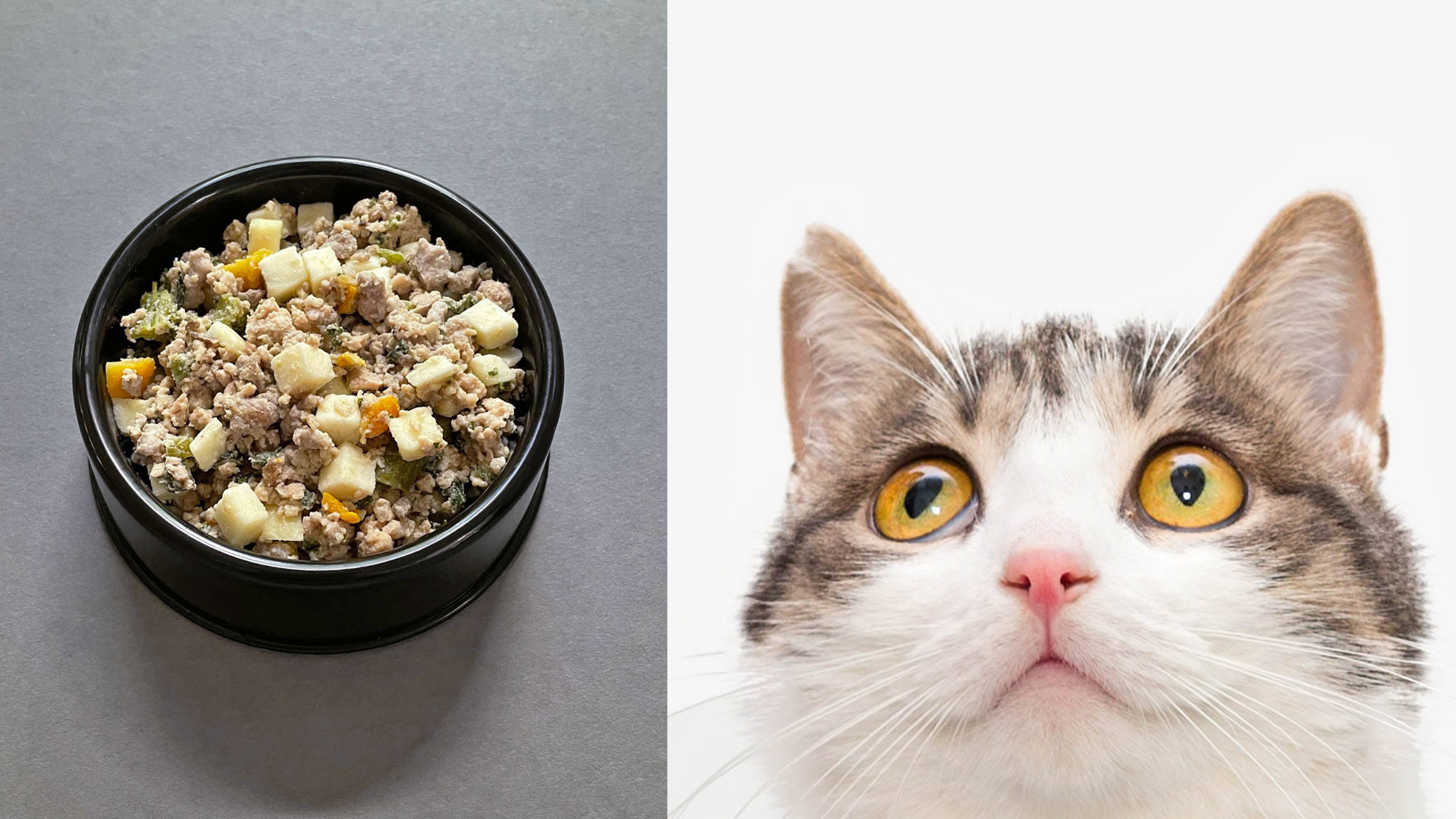 unkibble for cats