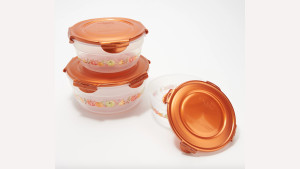 locking food containers for thanksgiving day leftovers
