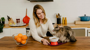 wet and dry food subscription for cats