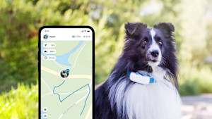 Pet GPS collar locator