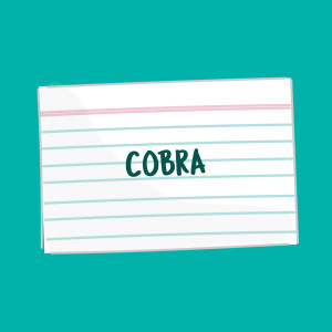flash card COBRA