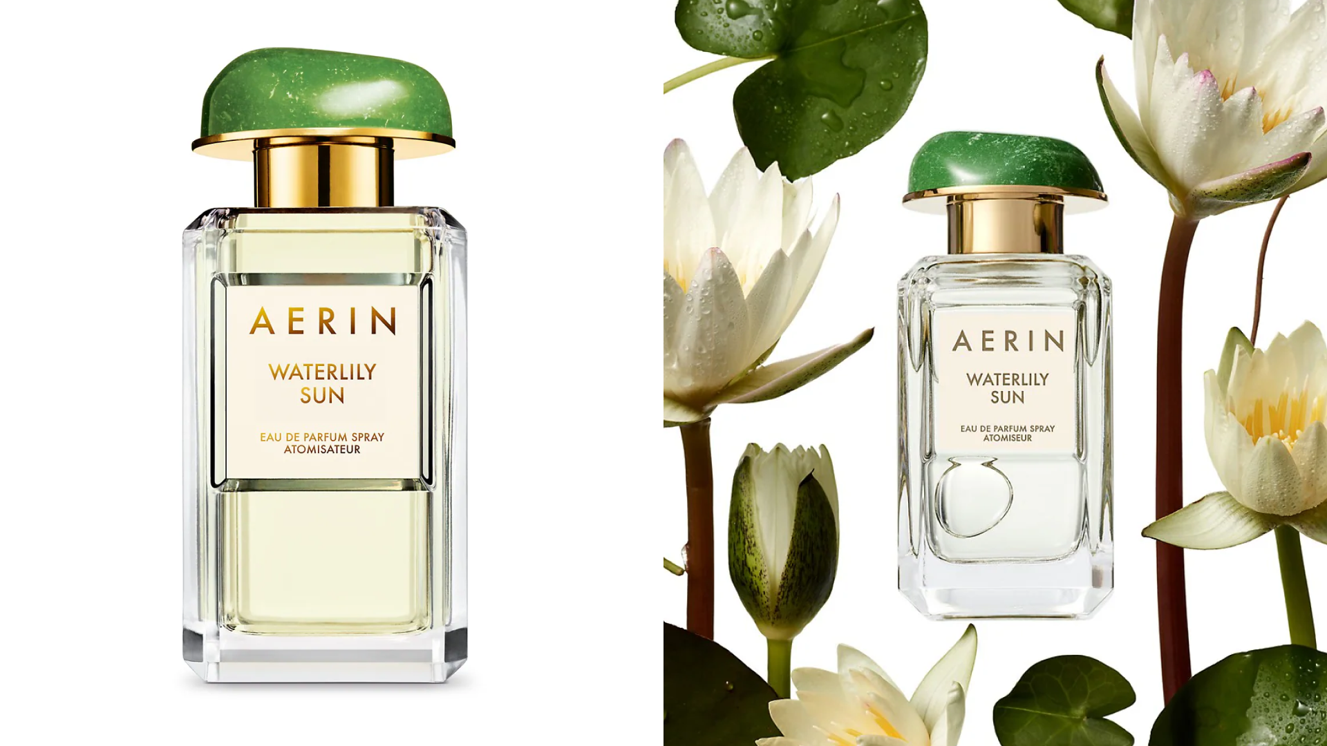 Aerin waterlily sun online perfume