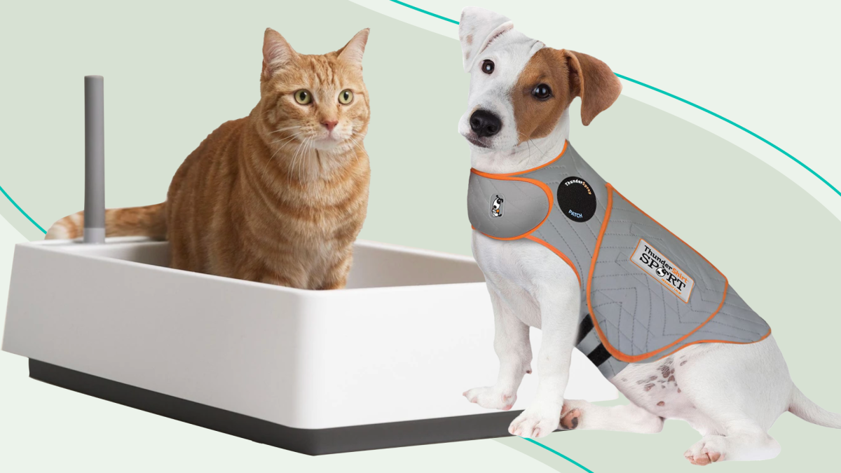 Our Go-To Pet Products That'll Make Life Easier