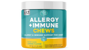 allergy chews for dogs who experience itching and sneezing