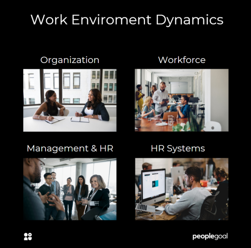 Human Resources Information Systems in 2019