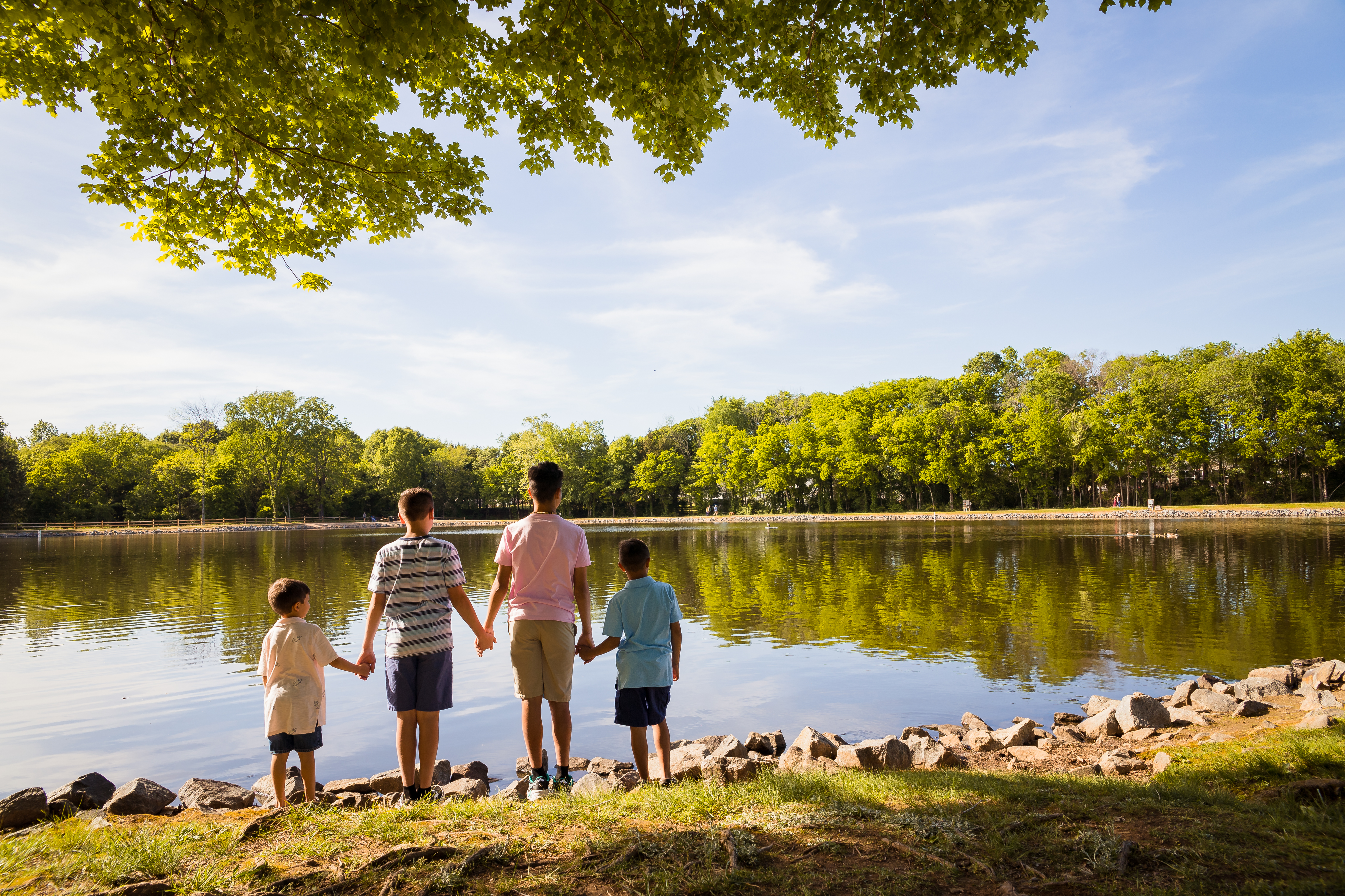 Open fields, mature trees, and lakeside scenery at Frank Liske Park during an outdoor portrait session.