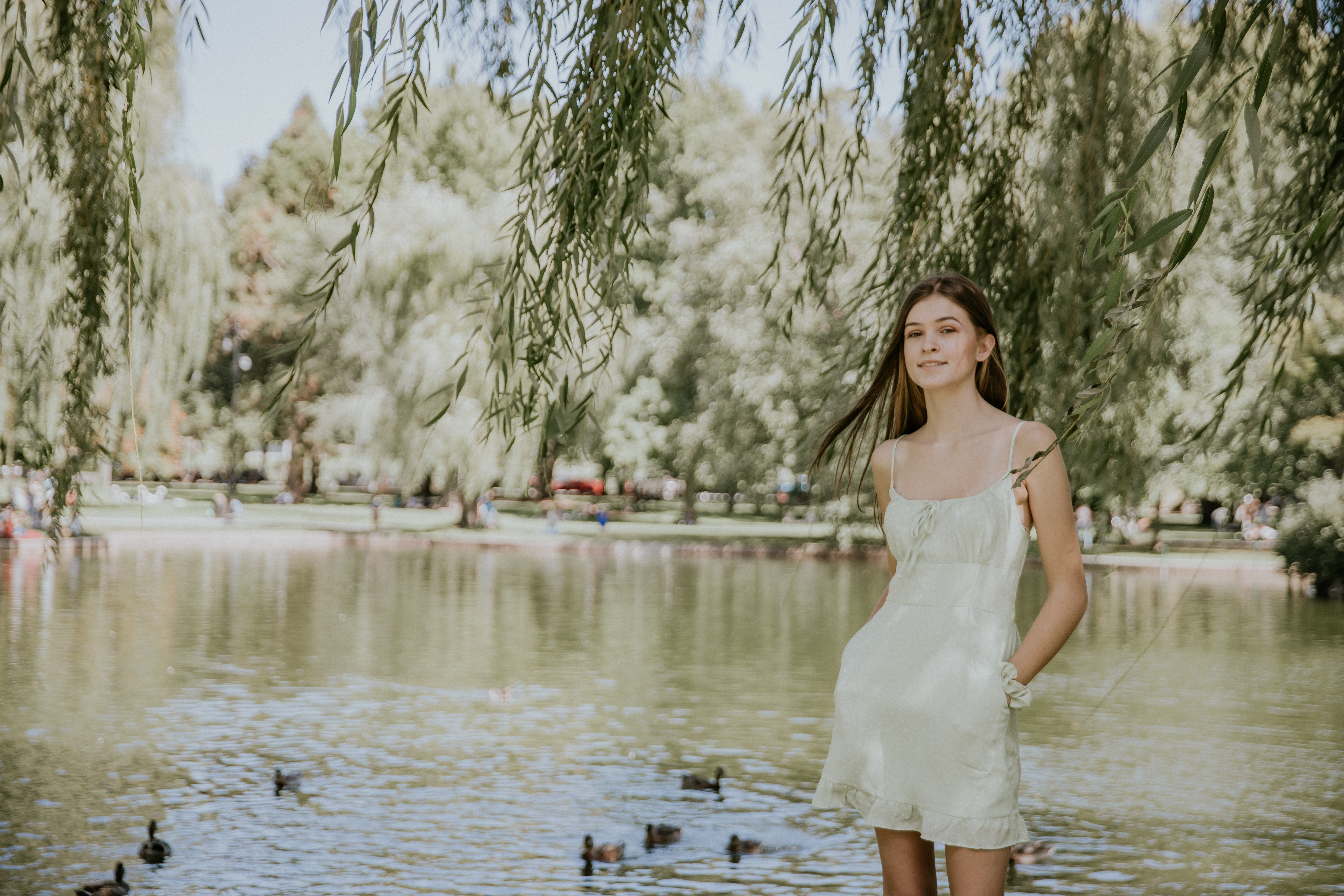 Boston public garden photography, Boston public garden photoshoot, photoshoot spots in Boston!