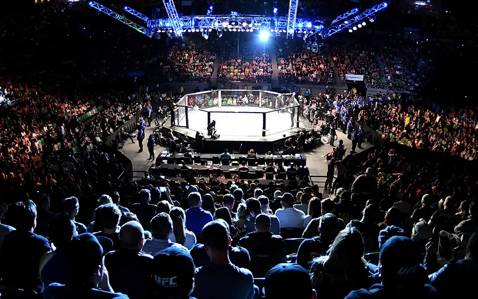 Fans watching a lit octagon ring