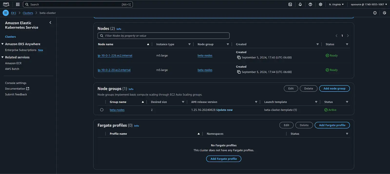 Step 2: Upgrade Managed Node Groups