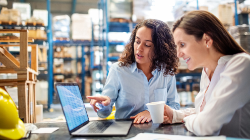 Obraz przedstawiający parę kobiet pracujących na laptopie