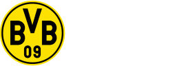 BVB Logo Hype Video
