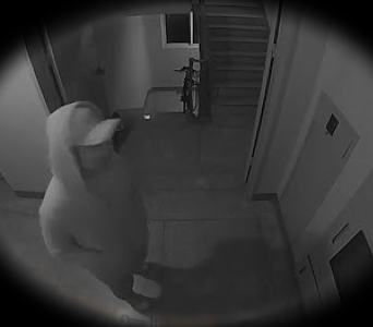 밤늦게 낯선 사람이 문 앞을 서성인다면?