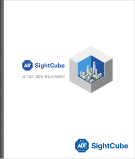 캡스 사이트큐브