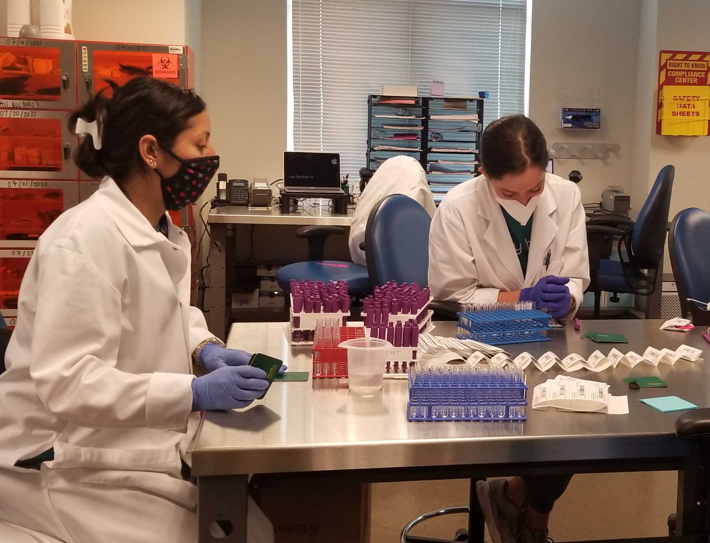 Women working in a laboratory