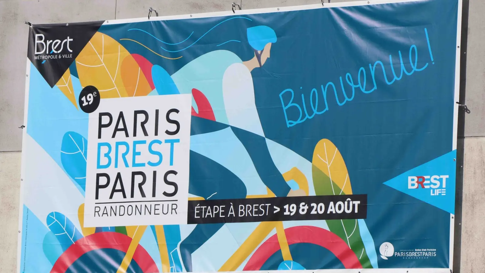 Push Bikes of Paris-Brest-Paris 2019