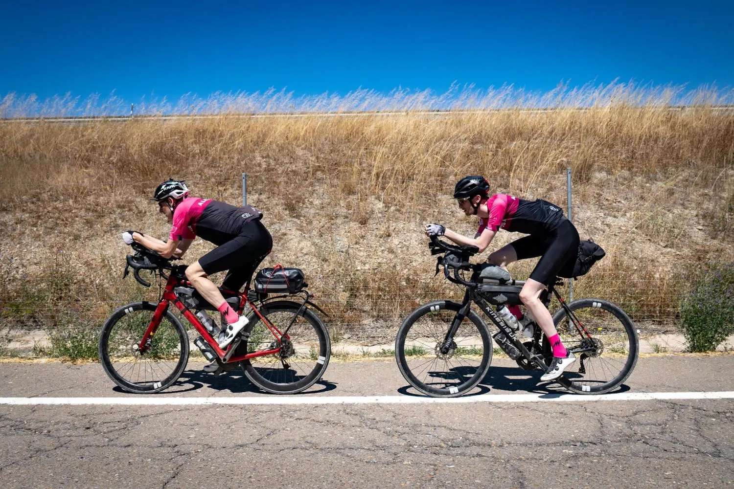 Two Peas in a Pod: A Look at Pairs Racing – DotWatcher.cc
