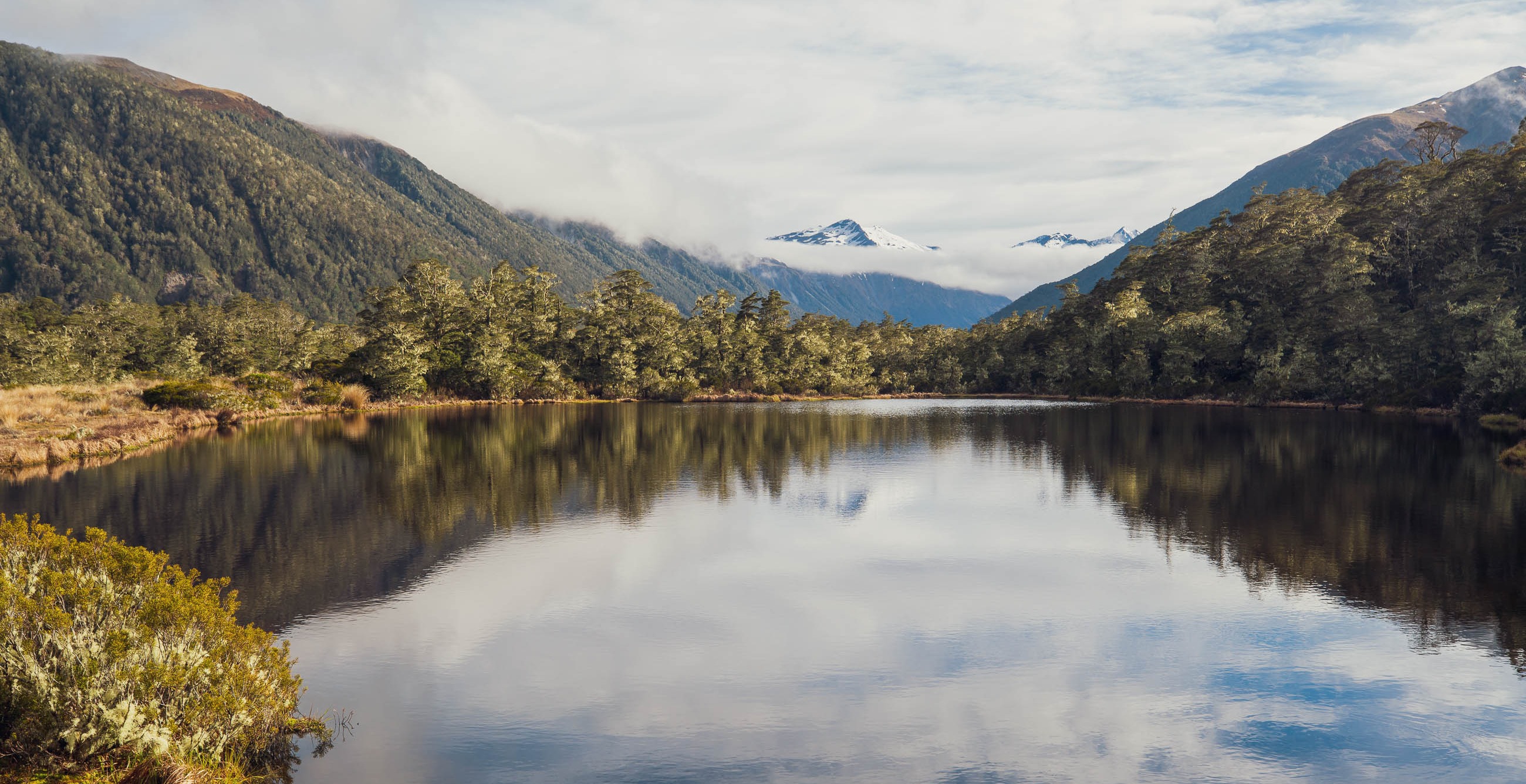 Bikes of Tour Te Waipounamu 2021 – DotWatcher.cc
