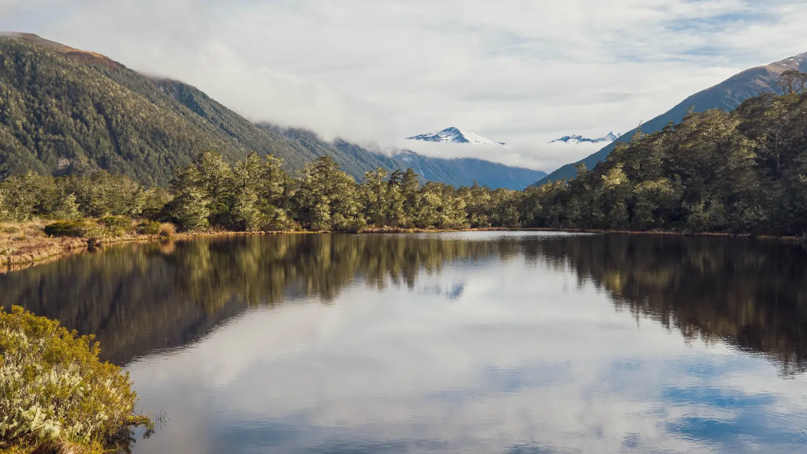 Bikes of Tour Te Waipounamu 2021